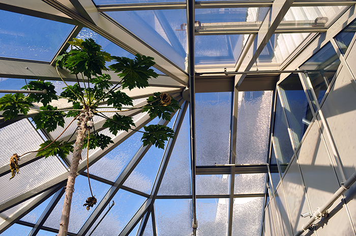 Snow-and-Ice-on-Glass-Structures-and-Greenhouses