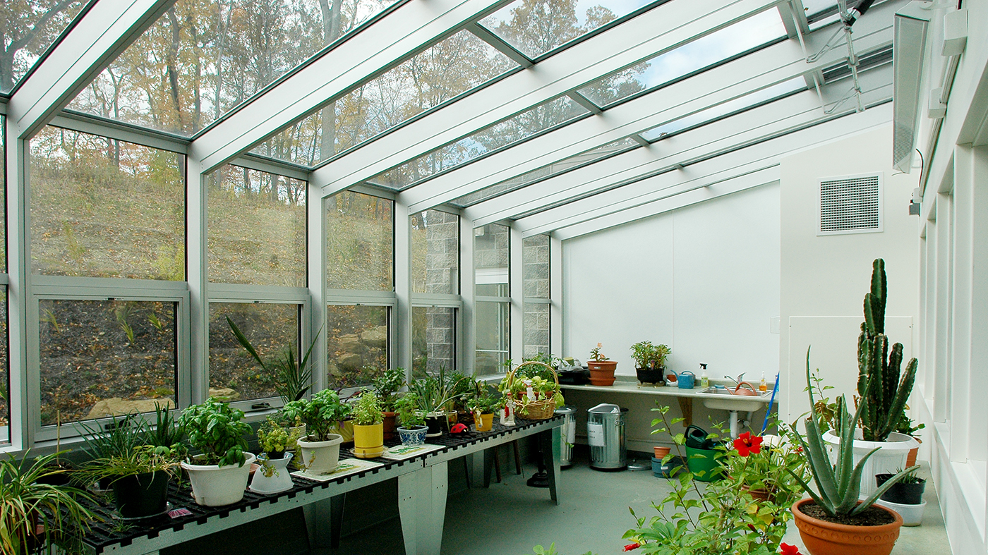 Straight eave lean-to greenhouse