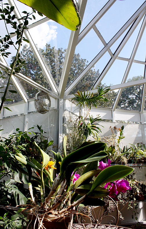 Straight eave, double pitch orchid greenhouse with bull nose, partial lean-to roof section, ridge cresting, finials, and grids.