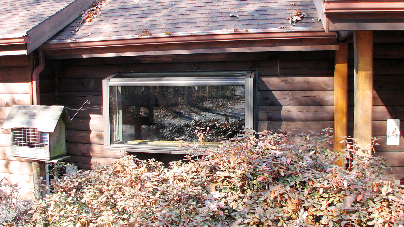 Straight eave, lean-to garden window.