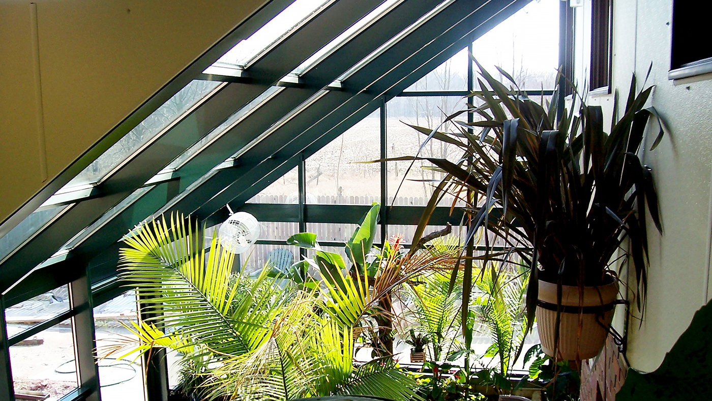 Straight eave lean to greenhouse with one gable end used to grow palm trees and tropical plants, including ridge vent, eave vent, terrace door, gutter and downspout.