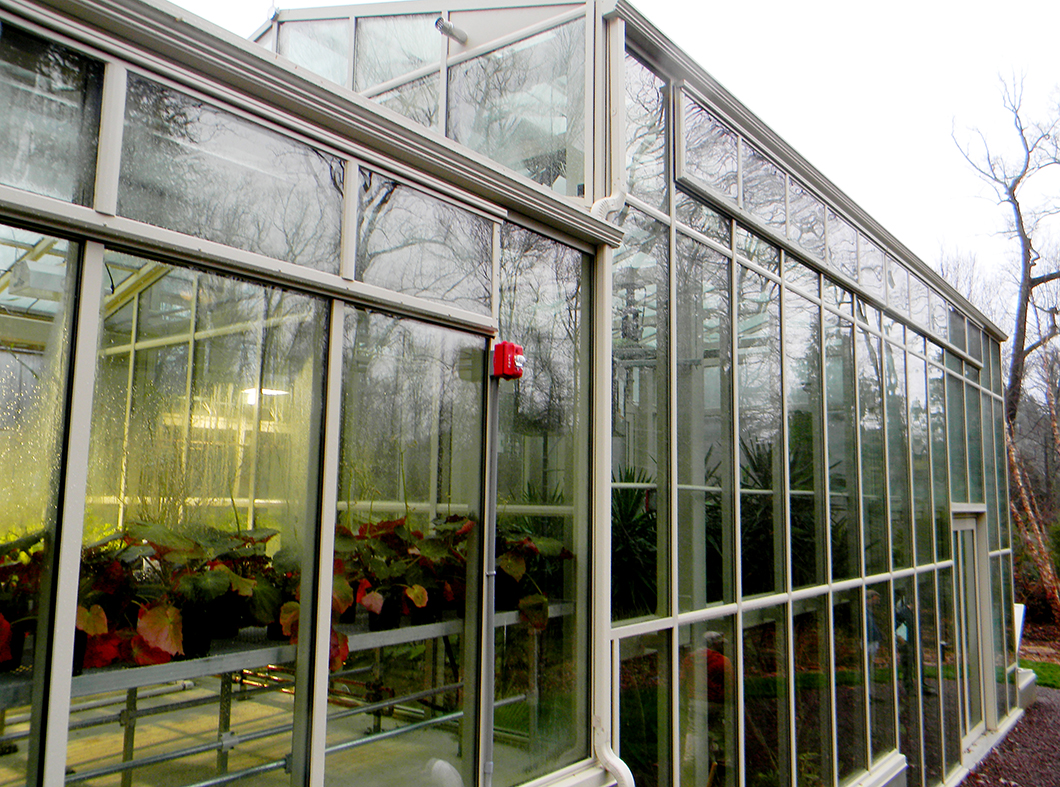 Straight eave double pitch greenhouse with 2 partial side walls, interior partition wall, and straight eave double pitch structure with hip end, connected to sidewall of main greenhouse. Cold frames are located on the exterior of the greenhouse. Interior growing accessories include ridge vents, eave vents, circulation fans, grow lights, and misting system.