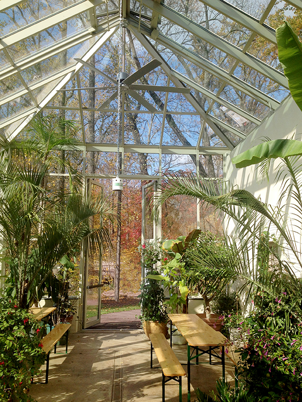 Two sets of massive French doors complement this tall standalone greenhouse.
