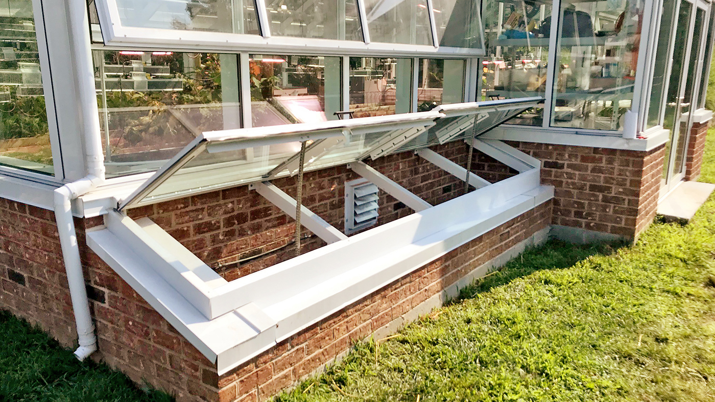 Straight-eave double-pitch greenhouse.
