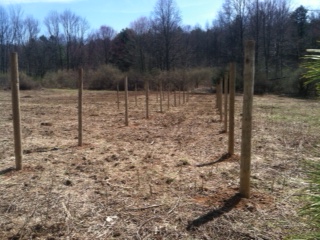 Solar Innovations, Inc.'s vineyard posts are now installed