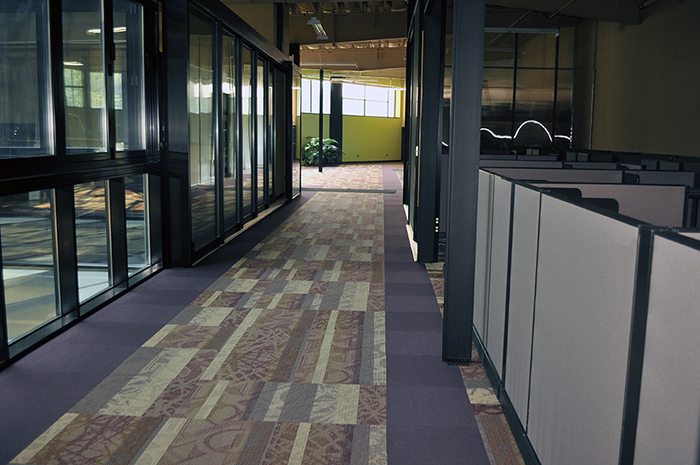 Cubicles and Carpet are installed for Expansion