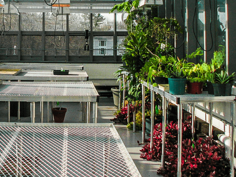 Greenhouse Benches Solar Innovations