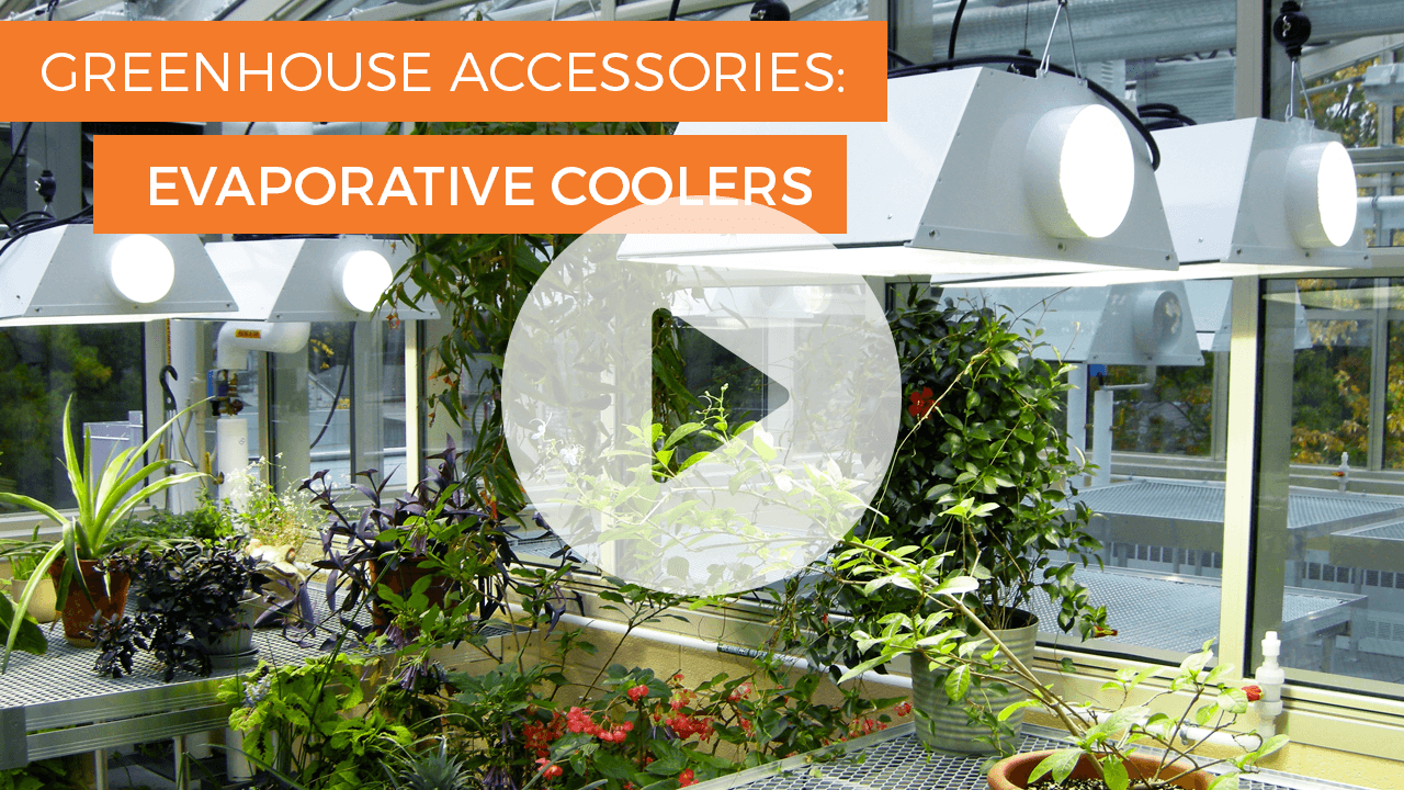 Plant Reflective Film Grow Light Anti-Heat Greenhouse Accessories DD 