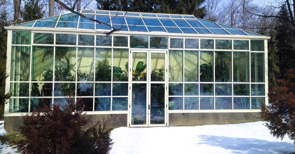 Tips for Heating Plants in Your Greenhouse Solar Innovations